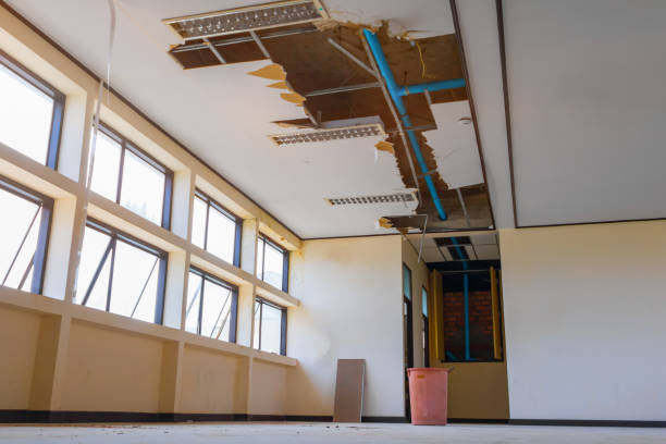 Best 24/7 water damage repair  in Maple Plain, MN