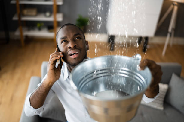 Professional Water damage restoration in Maple Plain, MN