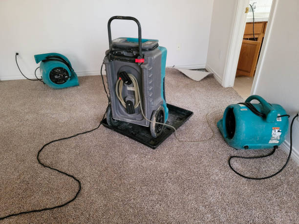 Best Fire Damage Restoration  in Maple Plain, MN