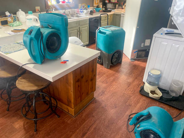 Best Emergency water damage restoration  in Maple Plain, MN