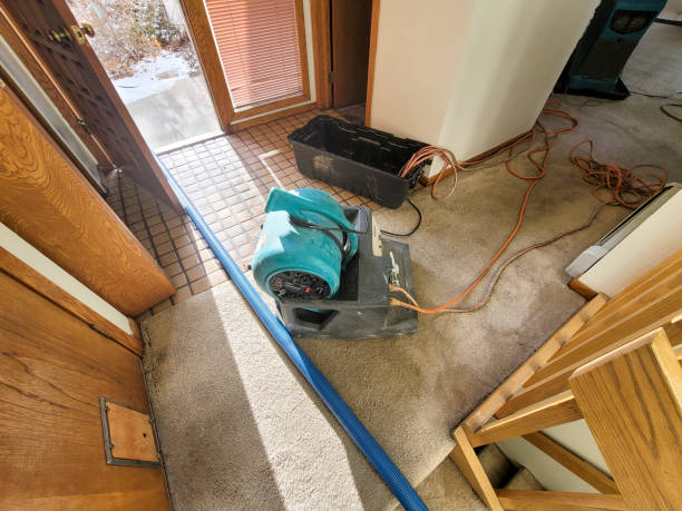 Best 24-hour water damage restoration  in Maple Plain, MN