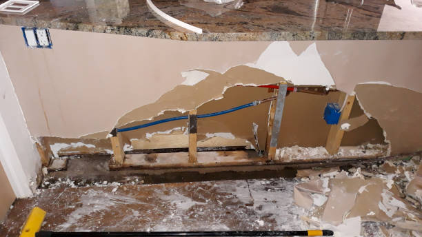 Best Mold removal after water damage  in Maple Plain, MN