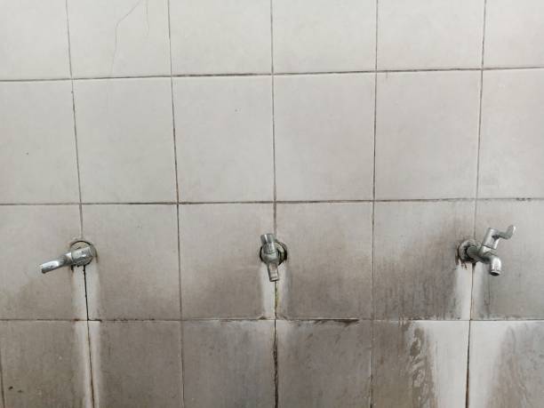 Best Water damage cleanup near me  in Maple Plain, MN