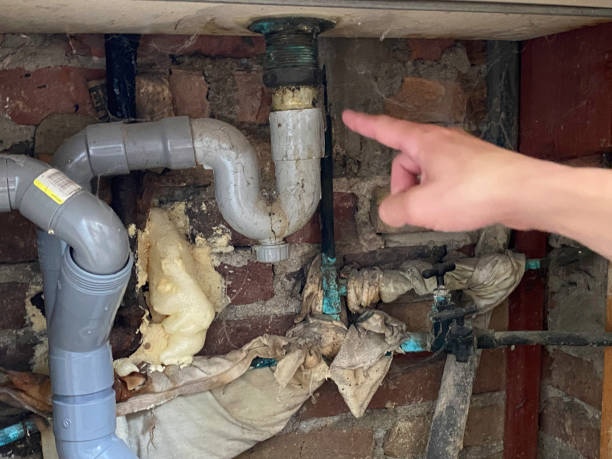 Best Residential water damage restoration  in Maple Plain, MN