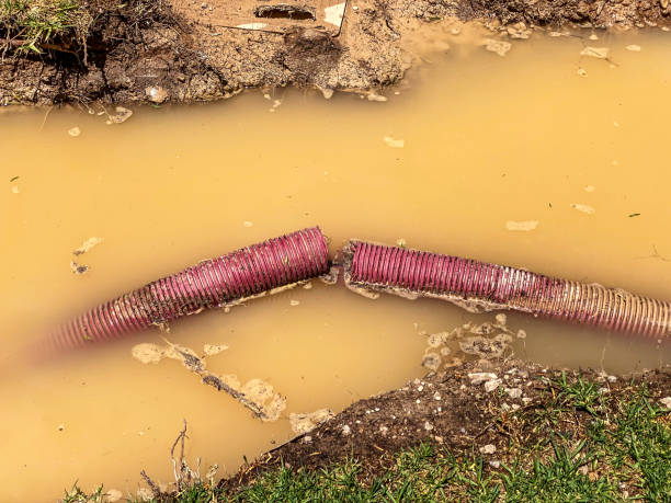 Professional Water damage restoration in Maple Plain, MN