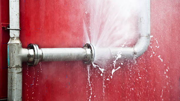  Maple Plain, MN Water damage restoration Pros